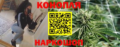 2c-b Камышлов