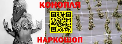 ГАЛЛЮЦИНОГЕННЫЕ ГРИБЫ Кингисепп