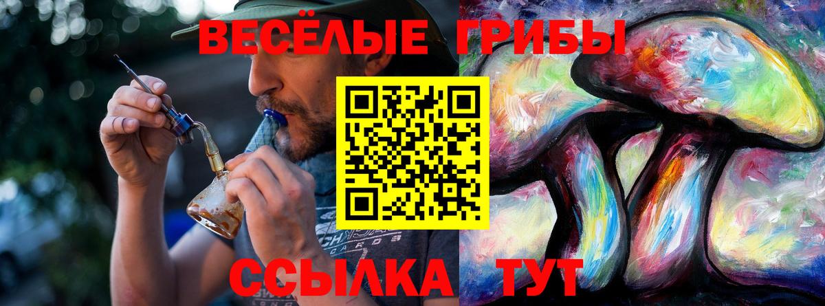 Галлюциногенные грибы Psilocybe  Вход с VPN  Псилоцибиновые грибы Psilocybine cubensis  Усть-Джегута 